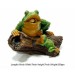 Frog On Wood Medium